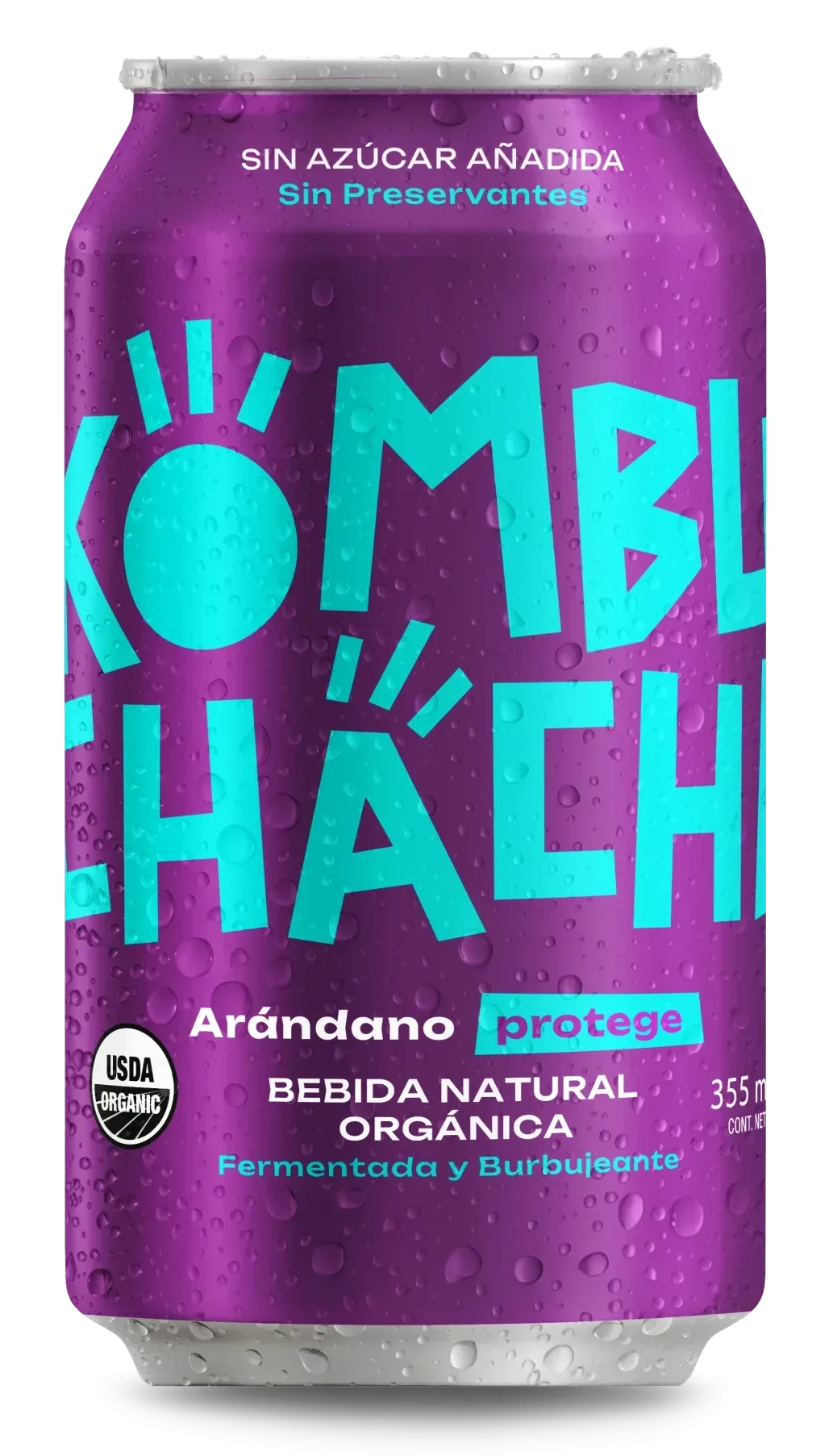 Kombuchacha Arandano 355ml