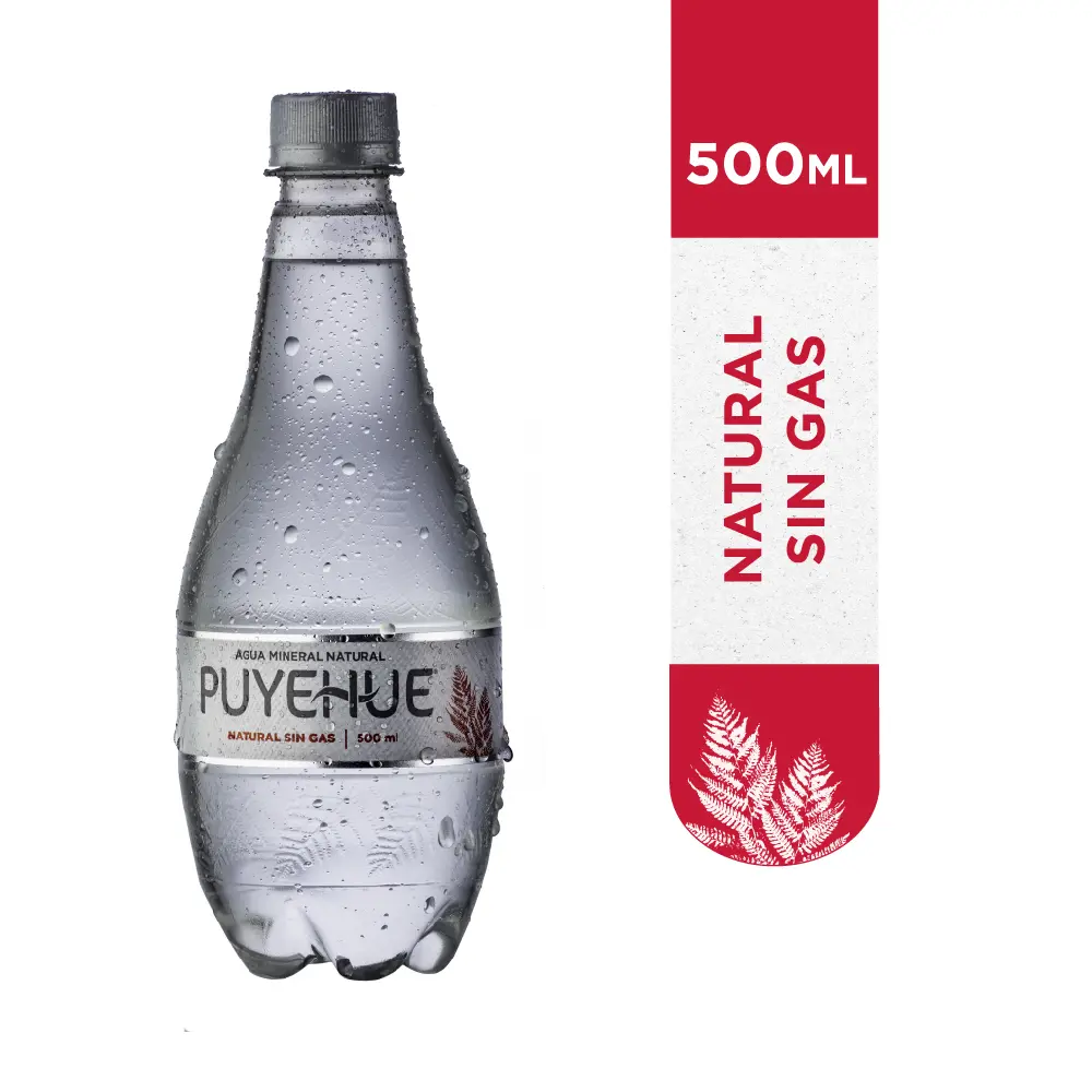 Puyehue Sin Gas 500 ml. 