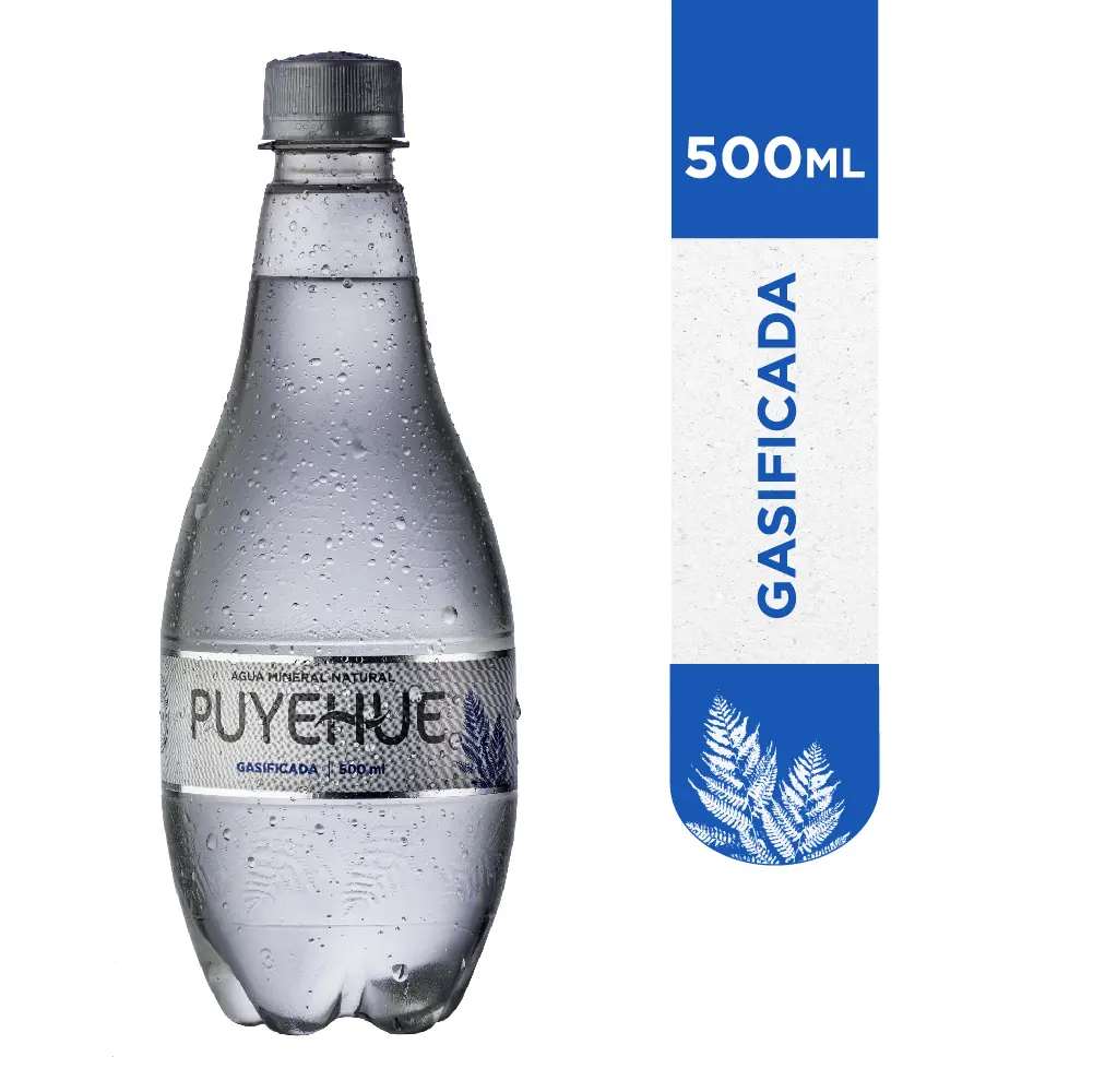 Agua Mineral Puyehue Con Gas 500 ml.
