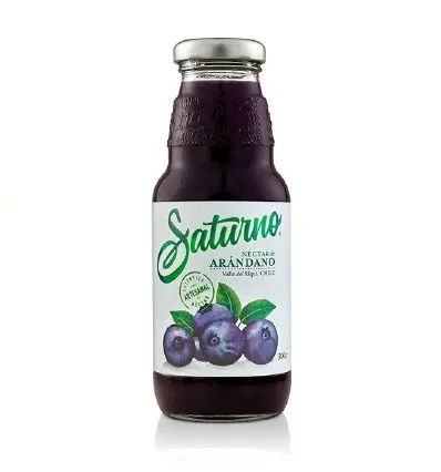 Néctar de Arándano Saturno 300 ml.